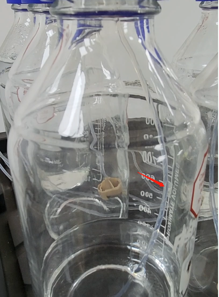 purge流动相A2 溶剂瓶-仪器端